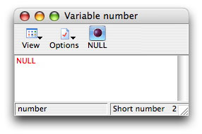 Null Value in the Debugger