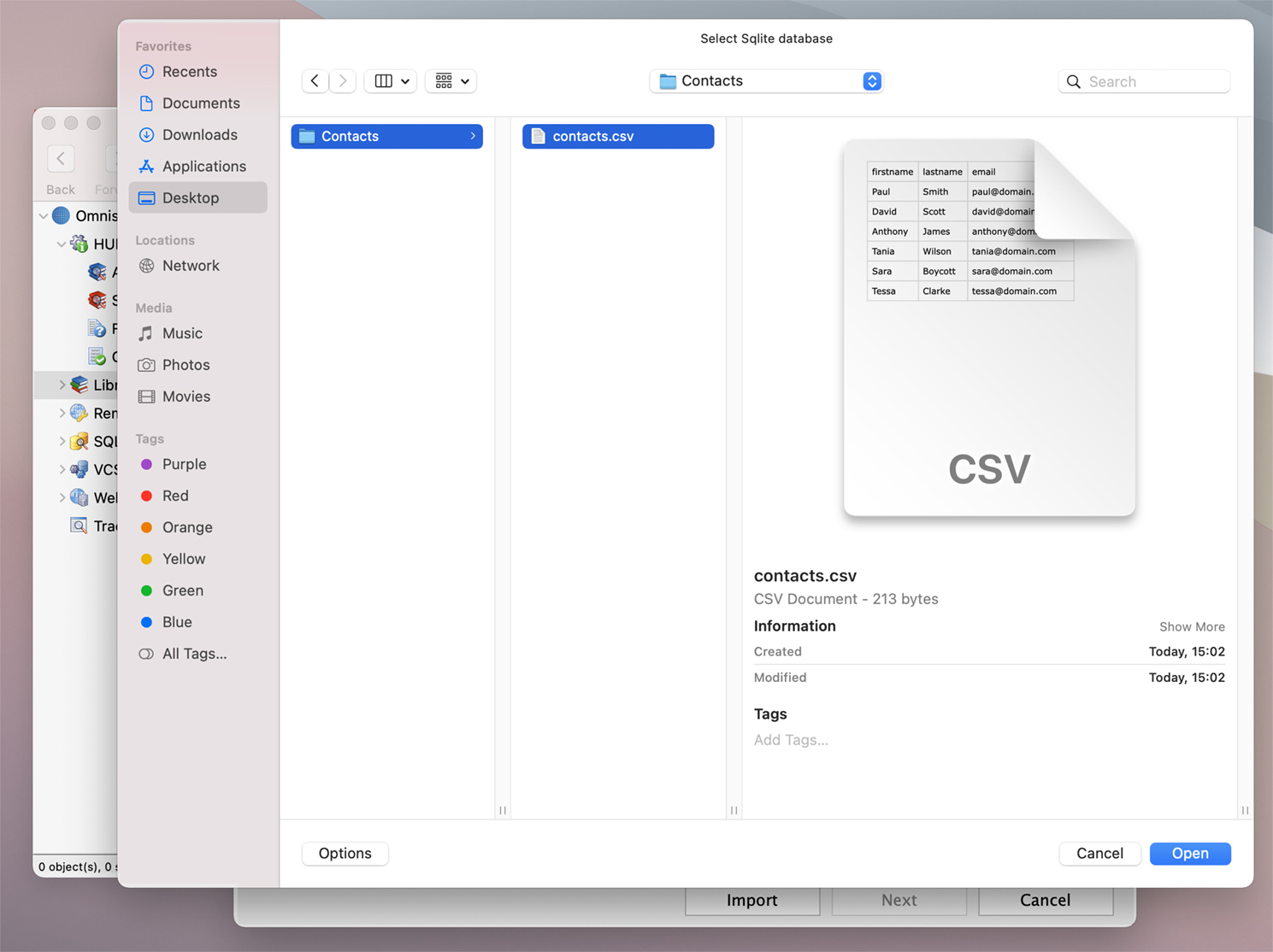 Import  a file into SQLite and create a web or mobile form