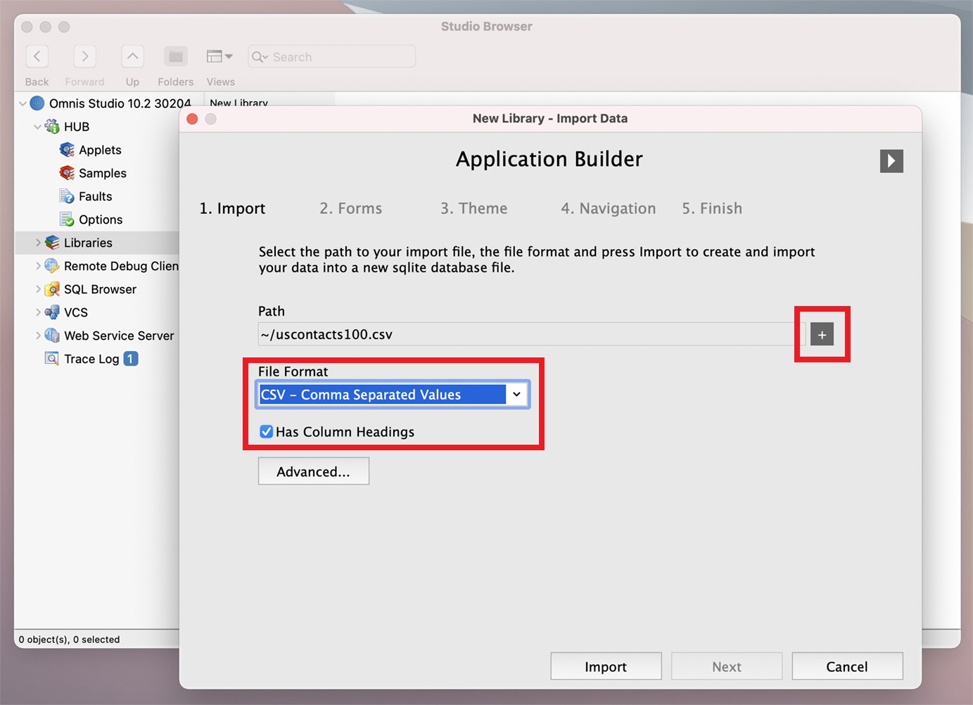 Import  a file into SQLite and create a web or mobile form