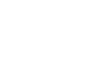 Omnis-Universal-Edition