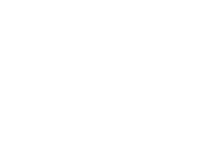 Omnis-ODPP-Solo