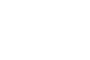 Omnis-ODPP-Team