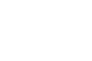 Omnis-Support-Single-Ticket