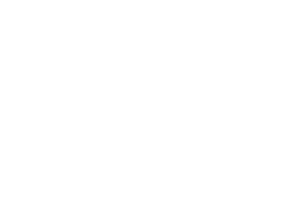platinum-suppport-omnis