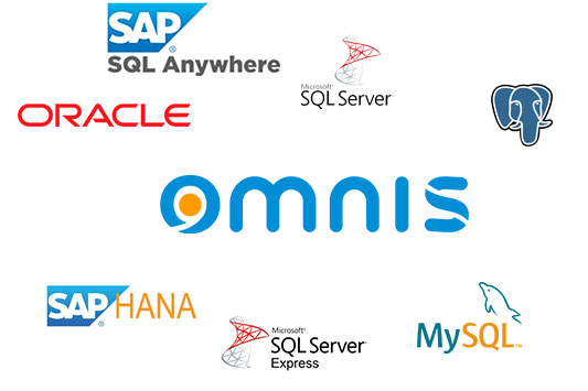 omnis databases